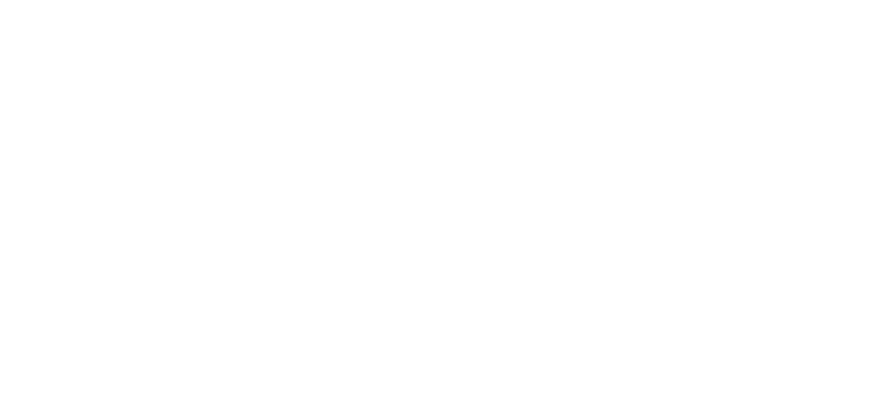 NET Service